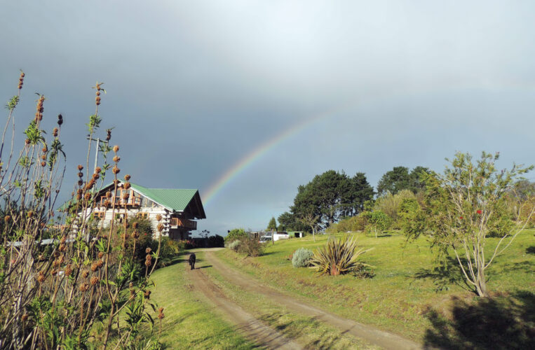 How to Build a House for Free